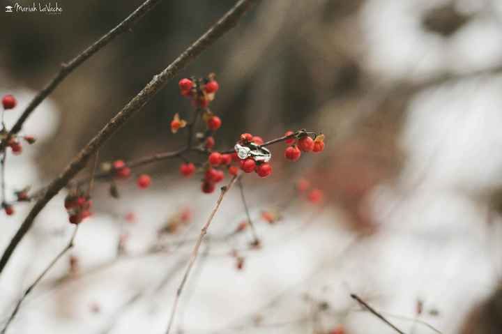 Engagment photos are in!! Pro Bam - 2
