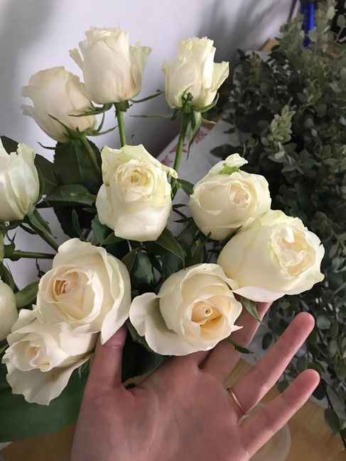 TJ's Vendela Roses - much smaller, less full, some imperfect rosettes