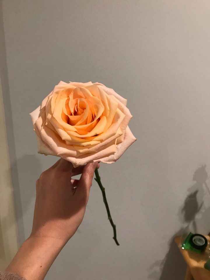 Giant Tiffany from the wholesaler