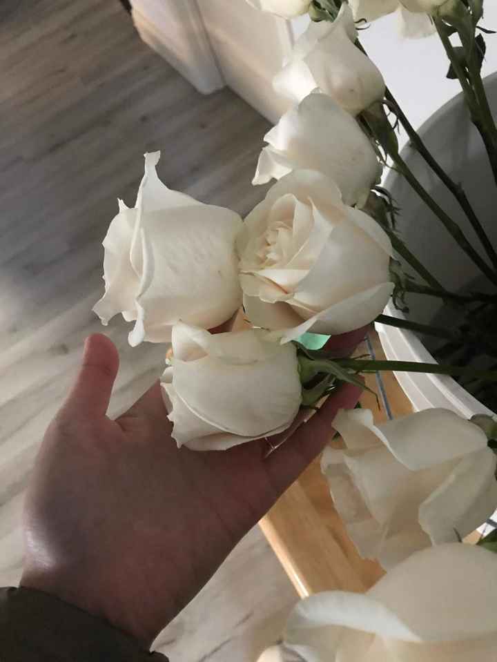 Florist quality Vendela roses