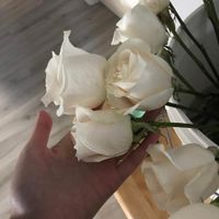 Florist quality Vendela roses