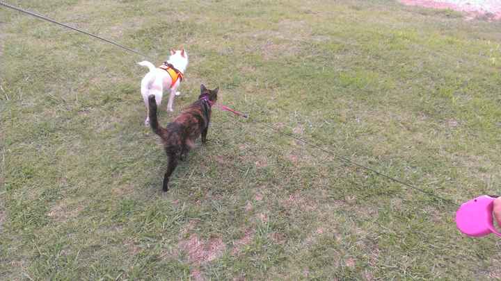 Everyone - do a quick intro!