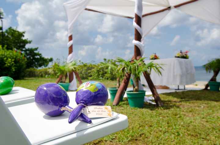 Destination wedding (island resort or cruise)