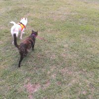 Everyone - do a quick intro!