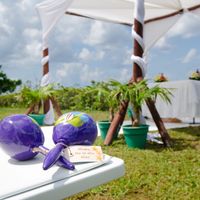 Destination wedding (island resort or cruise)