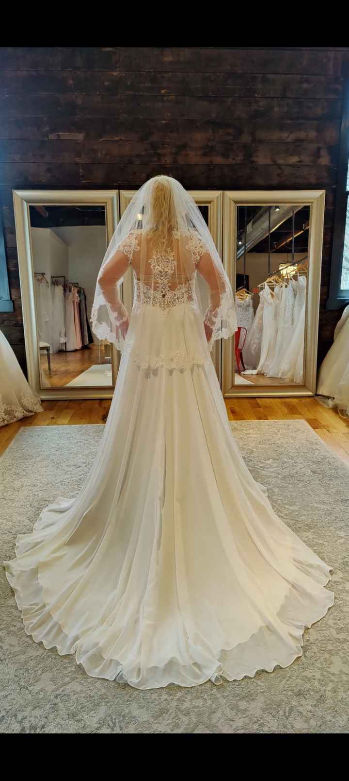 Just got my dream dress yesterday! - 2