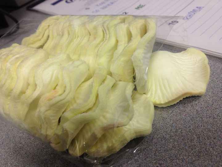 Petals, petals and more petals