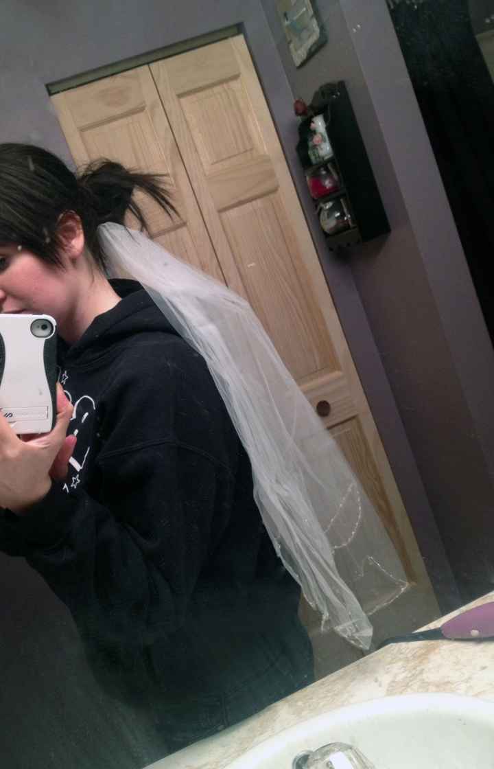 Veil came in the Mail!