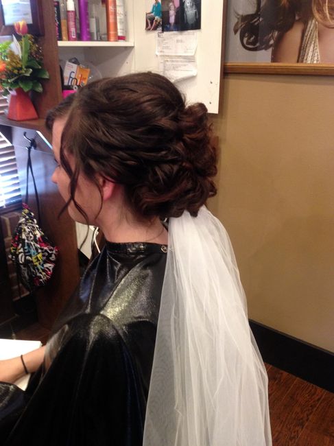 Hair Trial Pictures!