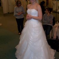 Anyone have there wedding dress picked out? Pics?