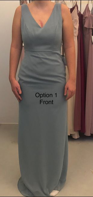 Bridesmaid dress help!!! 1