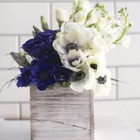 Has anyone used afloral?