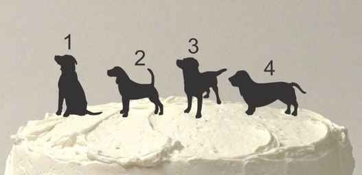 Pets Incorporated Into Wedding?