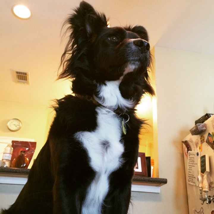 Dear Remi and Killian: