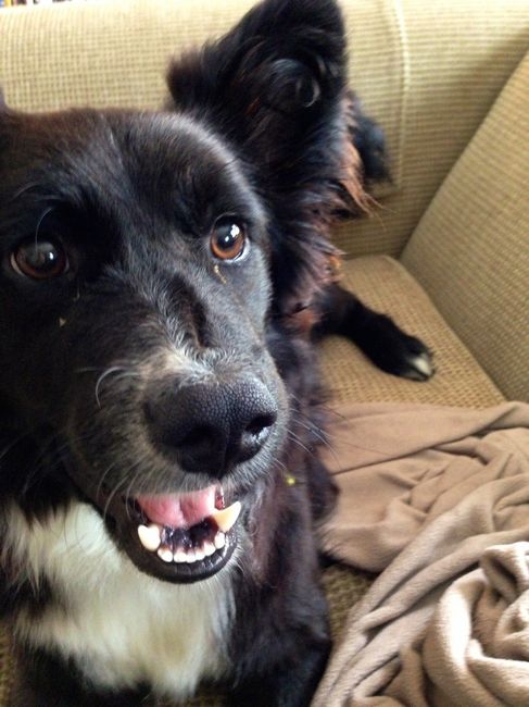NWR Happy Fursday! Show me your fur babies!