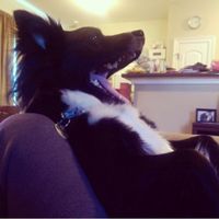 NWR Show me your furbabies