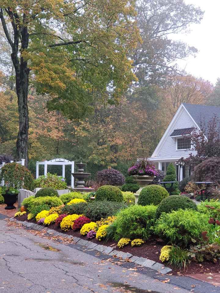 Where are Brides having Wedding at - 1