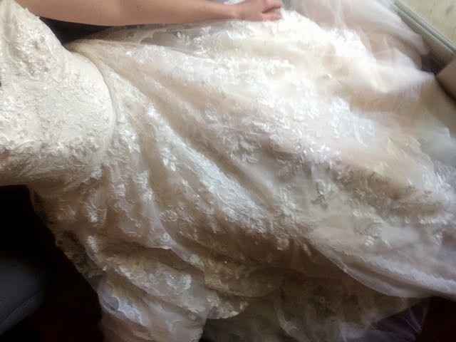 Blush Wedding Dresses