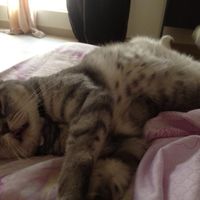 NWR: Show off your furbabies!