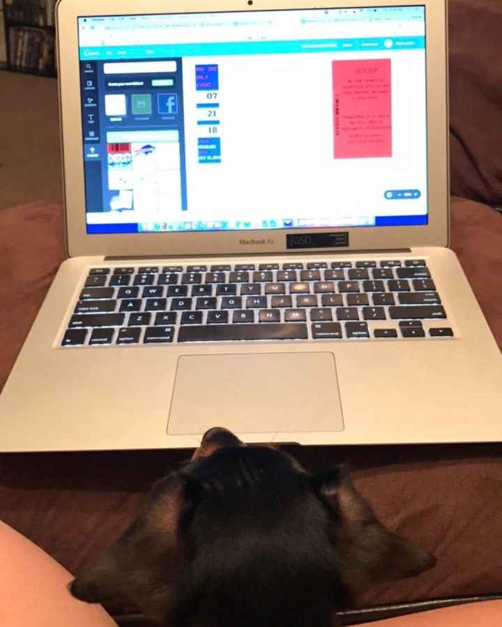 NWR: Show me your pups!
