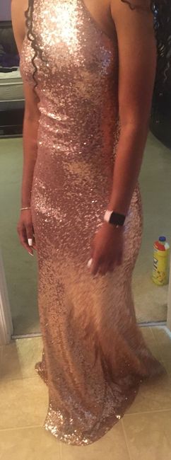 Got my bm dresses - 2