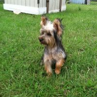 We've seen your rings, your dresses, your jewels.... show me your