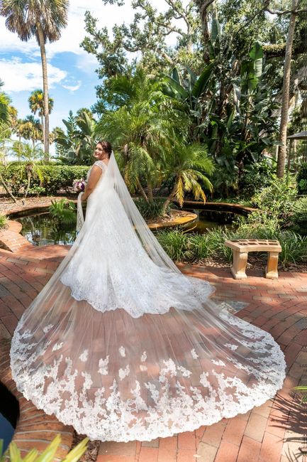 Dress Picture