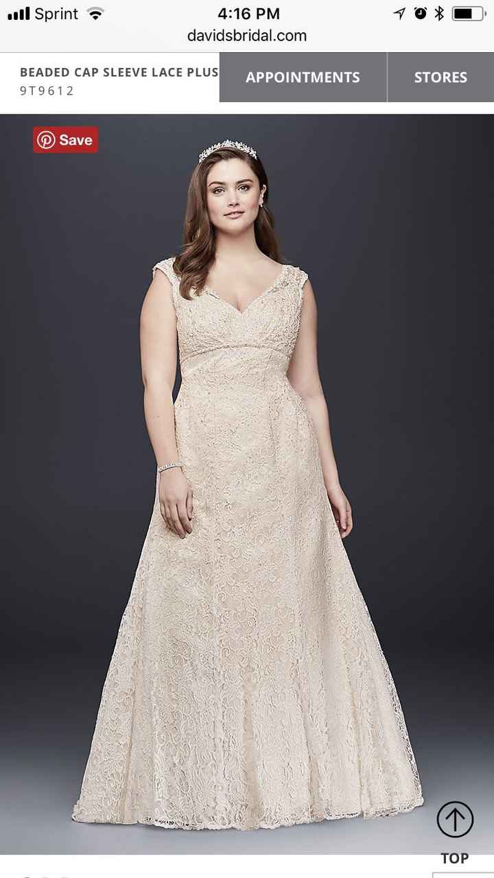 Dress Advice Needed - 2