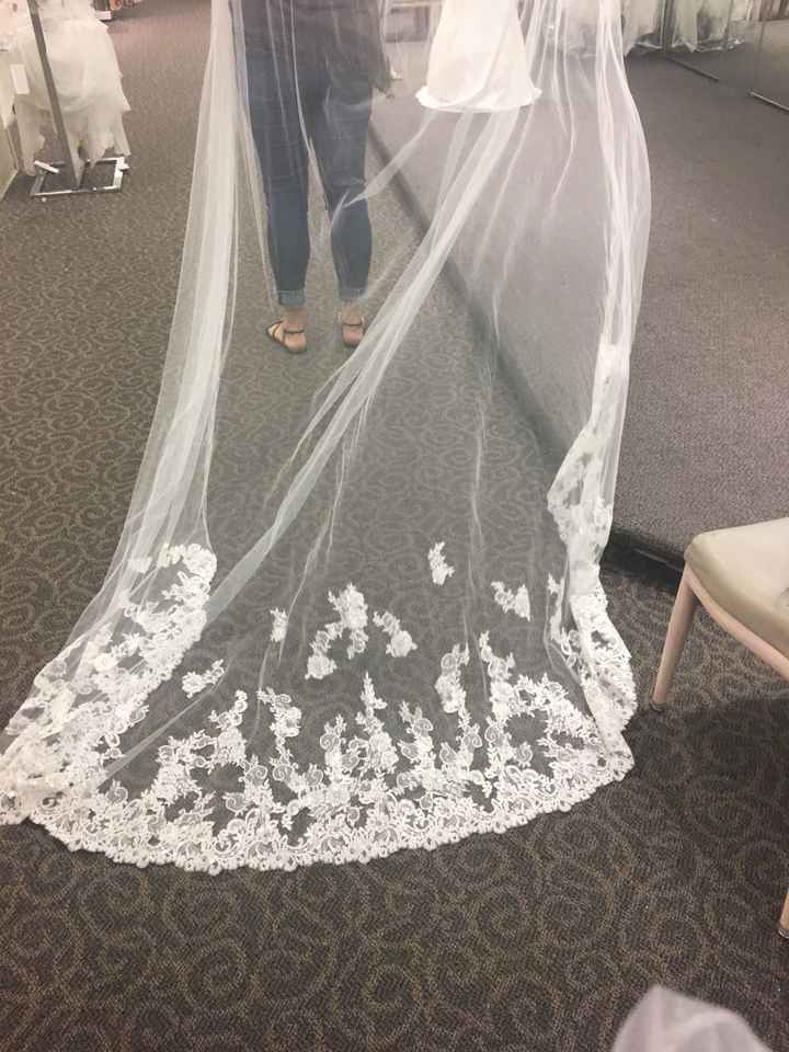 David’s Bridal Veil - 1