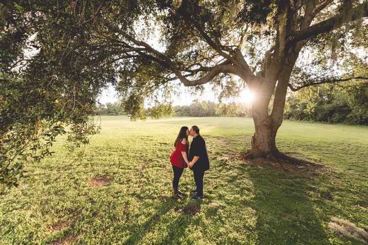 Engagement Picture Help - 4