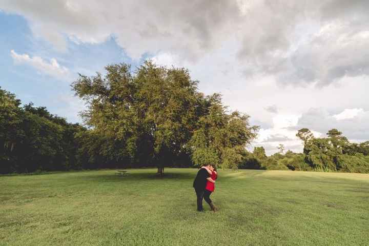 Engagement Picture Help - 5