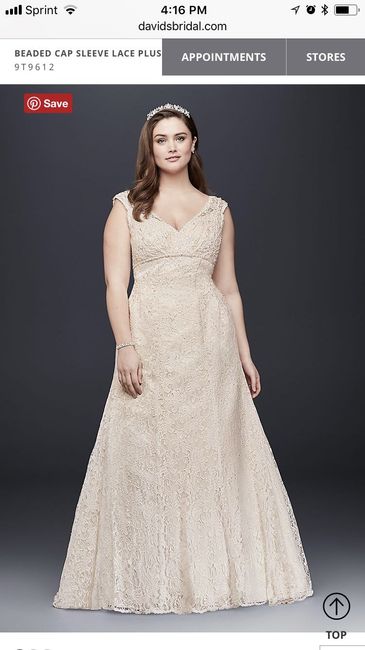Dress Advice Needed - 2