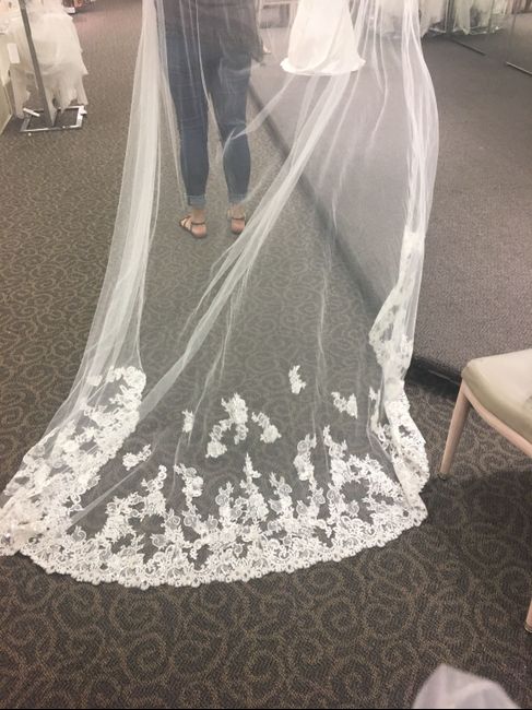 David’s Bridal Veil - 1