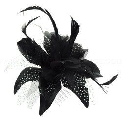 Let's see your tiaras/headpieces!