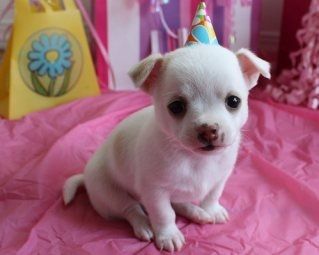 Omigoodness MrsO - IT'S YOUR BIRTHDAY TOO!