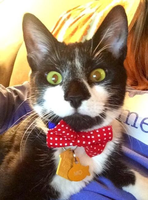 Its Fursday! Show me your furbabies! :)