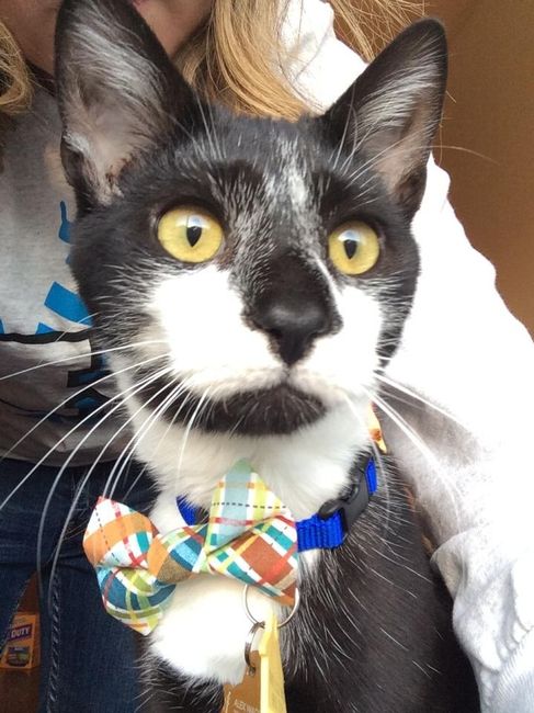 Its Fursday! Show me your furbabies! :)