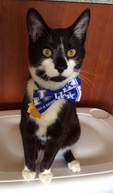 Its Fursday! Show me your furbabies! :)