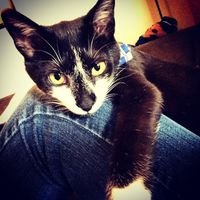 NWR: Happy Furry Fursday, let's see them fur babies!