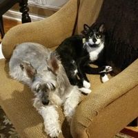 Happy Fursday Everyone!! :)