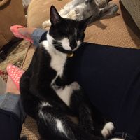 Happy Fursday Everyone!! :)