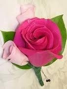 Bouquet Colors