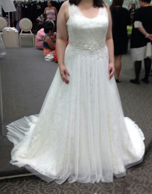 I said yes....to the dress! *UPDATED with Pictures!*