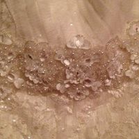 I said yes....to the dress! *UPDATED with Pictures!*