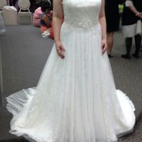 I said yes....to the dress! *UPDATED with Pictures!*