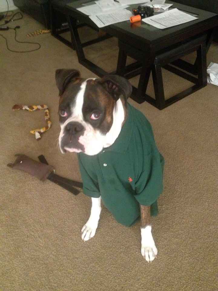 NWR Happy Fursday! Show me your fur babies!