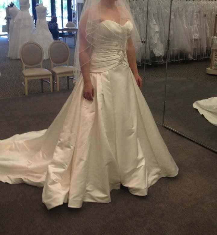 I finally get to say it.......I said yes to the dress!!!!
