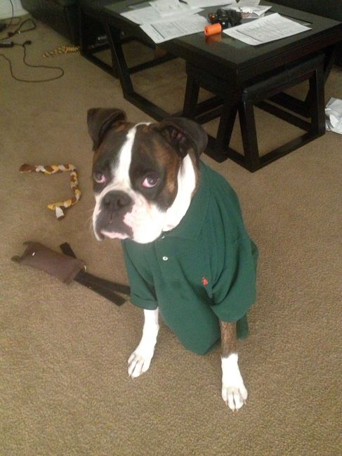 NWR Happy Fursday! Show me your fur babies!