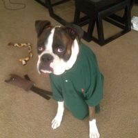 NWR Happy Fursday! Show me your fur babies!