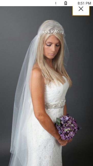 Your Veil: What, Where, How Much? 11